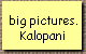 big pictures. 
 Kalopani