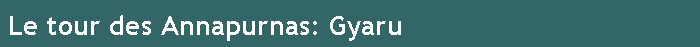 Le tour des Annapurnas: Gyaru
