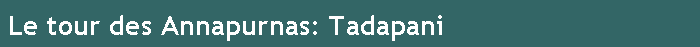 Le tour des Annapurnas: Tadapani