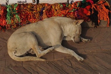 N13-Janakpur 192 x0380