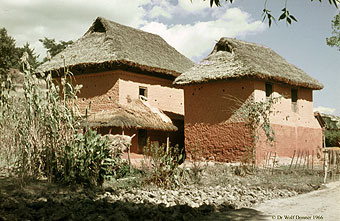 Wolf Donner NEP 155 drflliches Haus im Kathmandutal  x340