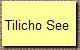 Tilicho See