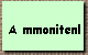 A mmonitenl